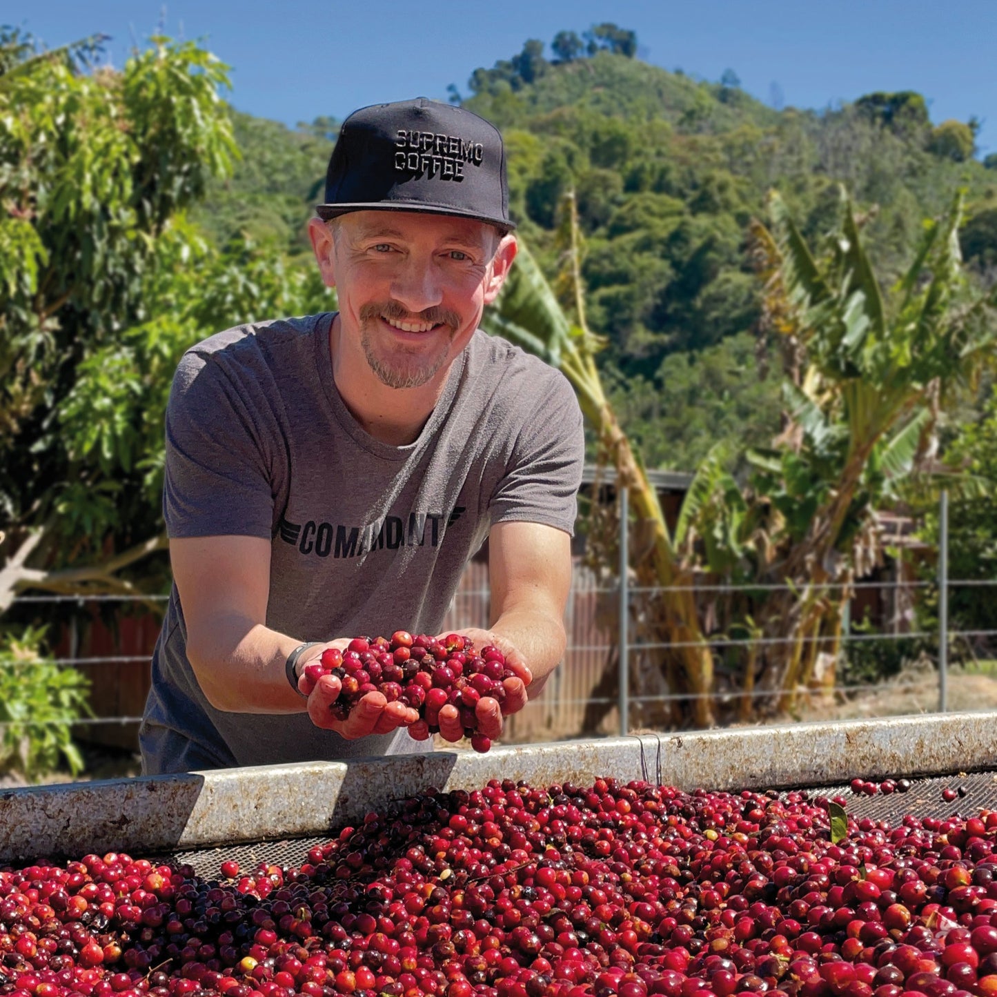 Espresso "Munich Ravens" by Supremo Coffee