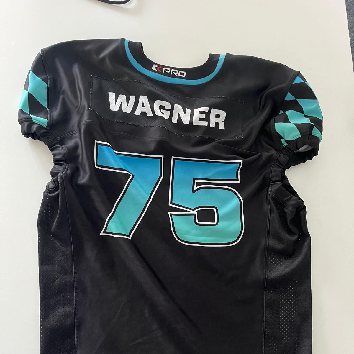 Gameworn Jersey #75 Wagner